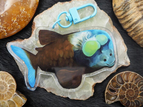 Barreleye - @ragwyrm