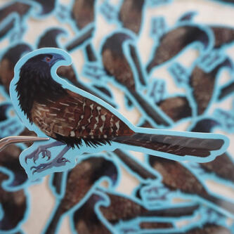 Pheasant Coucal - 2025 - @ragwyrm
