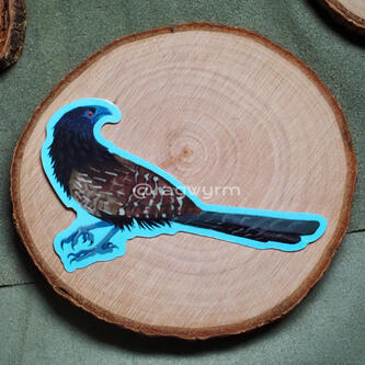 Pheasant Coucal - 2025 - @ragwyrm